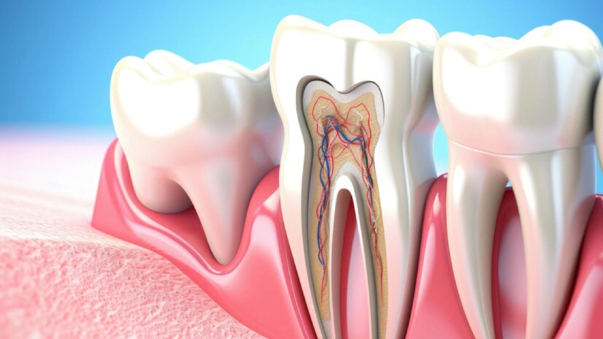 Take Dental Infections Seriously: Symptoms to Treatment